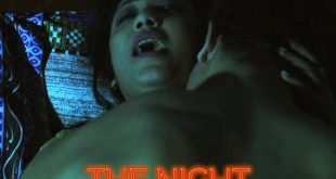 The Night (2019) Hindi Web Series HotShots